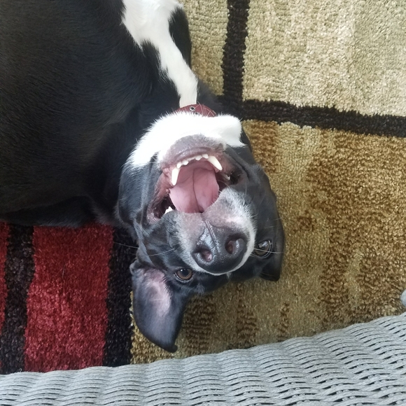 Meet your Posher, Cynthia - Picture 10 of 10